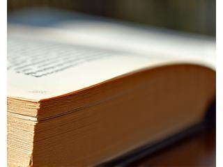 Libro con signos visibles de uso, como esquinas ligeramente dobladas o decoloración mínima del lomo, pero sin daños estructurales.