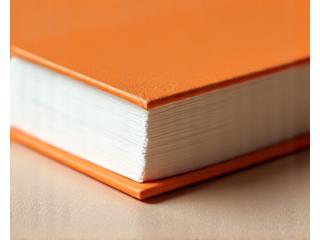 Libro ligeramente usado, con una pequeña imperfección casi imperceptible en la esquina o lomo, pero por lo demás en excelente estado.