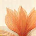 Icono estilizado de una flor con pétalos en forma de hojas de libro, que representa el género de Poesía.